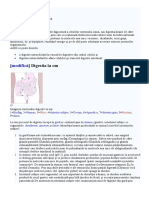 Digestie.docx