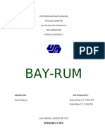 Informe de Bay-Rum