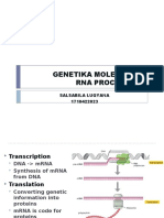 Genetika Molekuler - RNA Processing - Salsabila Luqyana - 1710422023