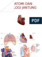 Anatomi Dan Fisiologi Jantung