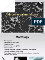6. Mycobacterium Leprae