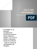 Ciclo Del Nitrógeno-Presentacion de Biologia