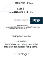 03 Jaringan Epitel