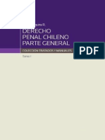 Naquira Riveros J -Derecho Penal Chileno Parte General Tomo 1.pdf