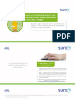 Instructivo IPEVR -  Empresa Grande.pdf