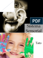 Sistema Sensorial Tato