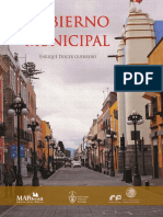 Gobierno Municipal - Camara de Diputados.pdf