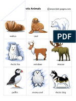 Arctic animals.pdf