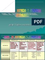 Panel de Destrezas y Estrategias