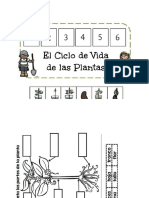 El Ciclo de La Planta