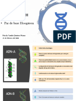 Clases de ADN
