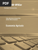 TS_Hildo_EconomiaAgricola.pdf