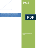 Informe Tecnico Agropecuaria Palmar de Valera PDF