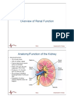 L18 Kidney PDF