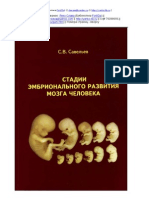 Savel Ev S.V. Stadii e Mbrional Nogo Razvitiya Mozga Cheloveka. 2002