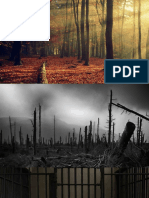 imagenes de bosques.pptx