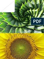 Fibonacci Sequence Presentation