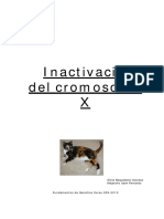 cromosomaX.pdf