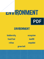 Environment Slides PDF