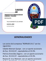 presentaciondelproyecto-121206130954-phpapp02.pdf