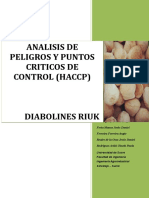 325777428-Modelo-de-Plan-Haccp-Diabolines-Riuk.doc