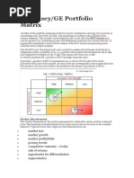 McKinsey Model Portfolio