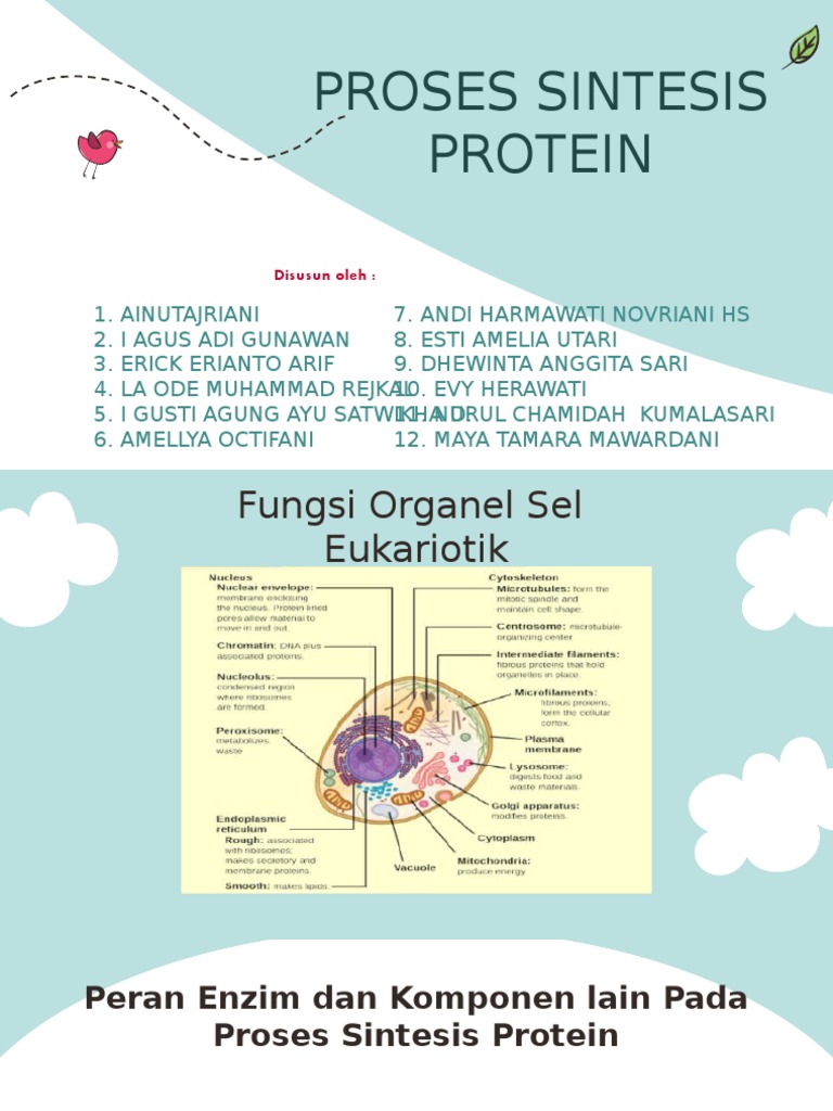 Proses Sintesis Protein Eukariotik | PDF | Sains & Matematika