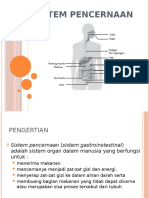 SISTEM - PENCERNAAN Kelompok 1 Kelas XI