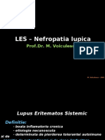 LES Nefropatia Lupica