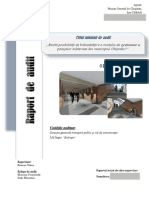Raport Final de Audit PSP1102c