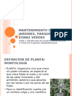 1º La Planta MANTENIMIENTO DE JARDINES, PARQUES Y ZONAS VERDES