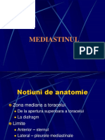 Mediastinul.pdf