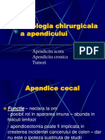 patologie apendiculara.pdf
