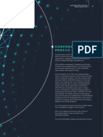 SPH AnnualReport PDF