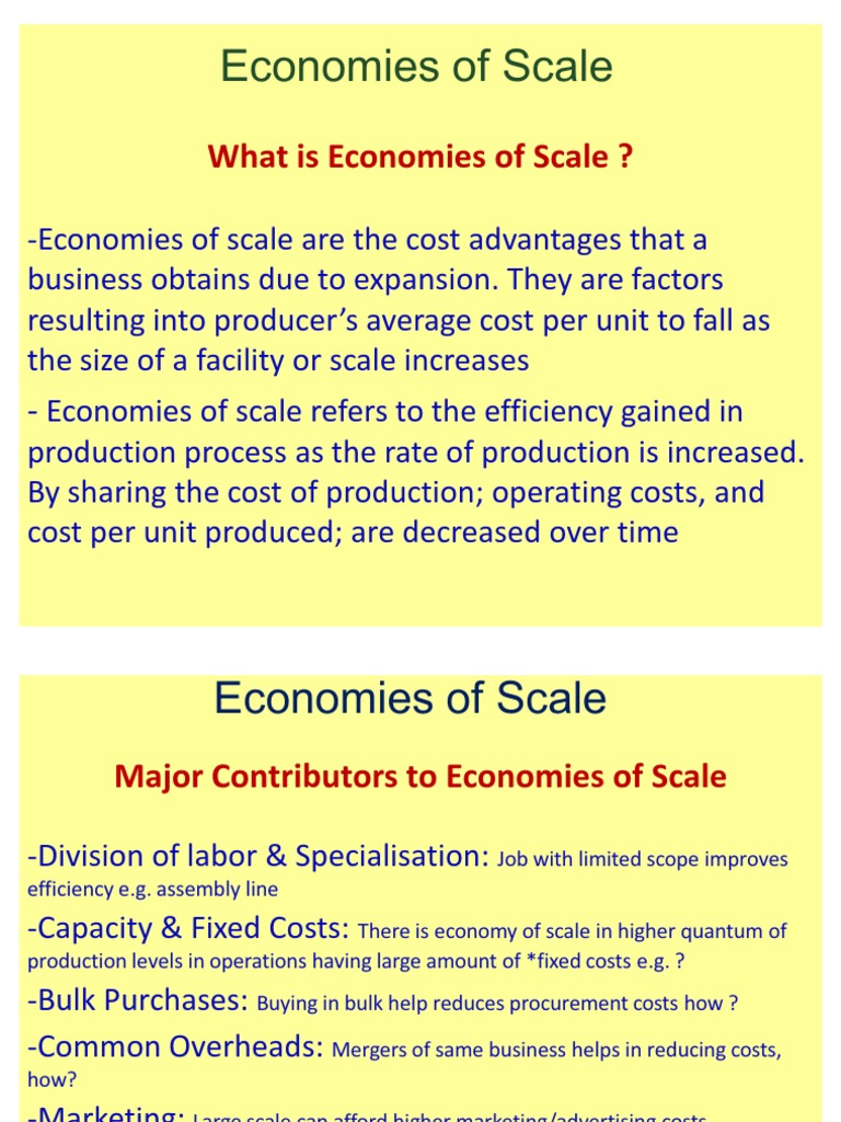Understanding Economies of Scale | PDF | Economies Of Scale | Average Cost
