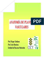 02Pres Anatomia Vegetal