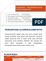 Acute Glomerulopathies - Poststreptococcal Glomerulonephritis