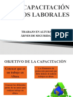 TRABAJO EN ALTURAS.pptx