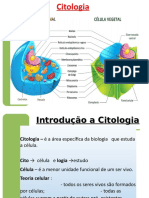 Introdução à Citologia: estrutura e tipos de células