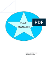 PROGRAMA DE FLUJO MULTIFASICO.doc