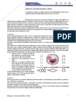 Biologia 42 - Divisione Cellulare - Mitosi PDF