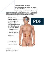 The Endocrine System