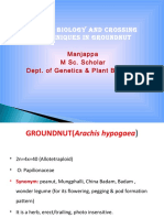 SST 503 - Floralbiologyandcrossingtechniquesin GROUNDNUT PDF