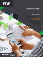 Microeconomia 114 - Eje1