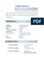 CURRICULUM VITAE