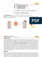 Proyecto PA Mi Cuerpo Un Mundo Por Descubrir