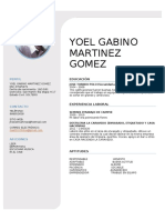 CV YOEL.docx