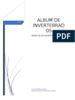 Album de Invertebrados