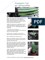 Cactus_TIPs_ebay.pdf