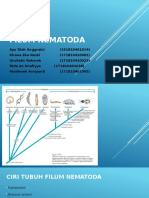 Filum Nematoda-1